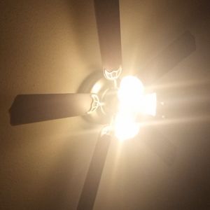 This is a duplicate posting. Do not purchase.  Couldn't delete the post.